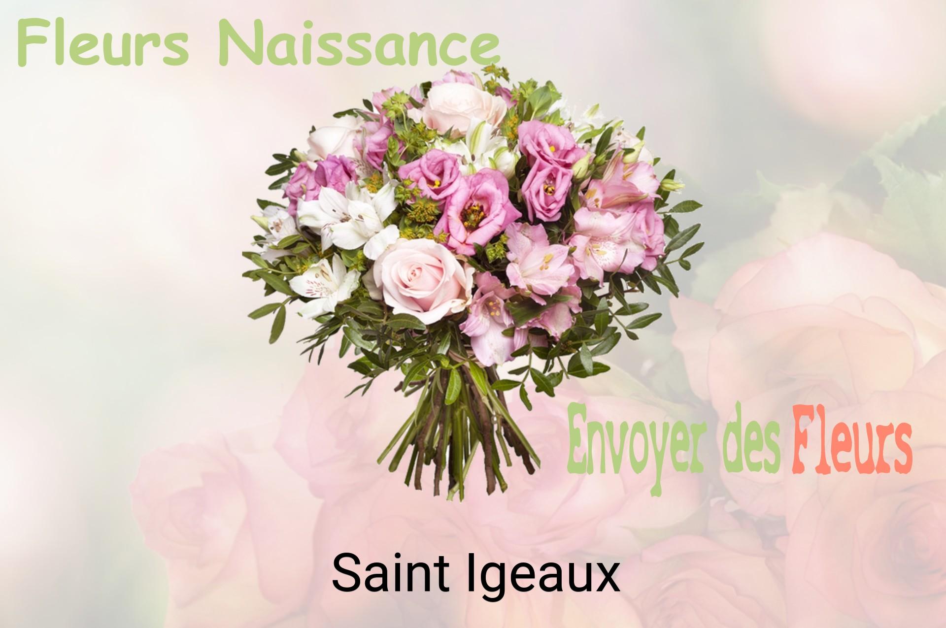 Bouquet de fleurs de naissance livré à Saint-Igeaux