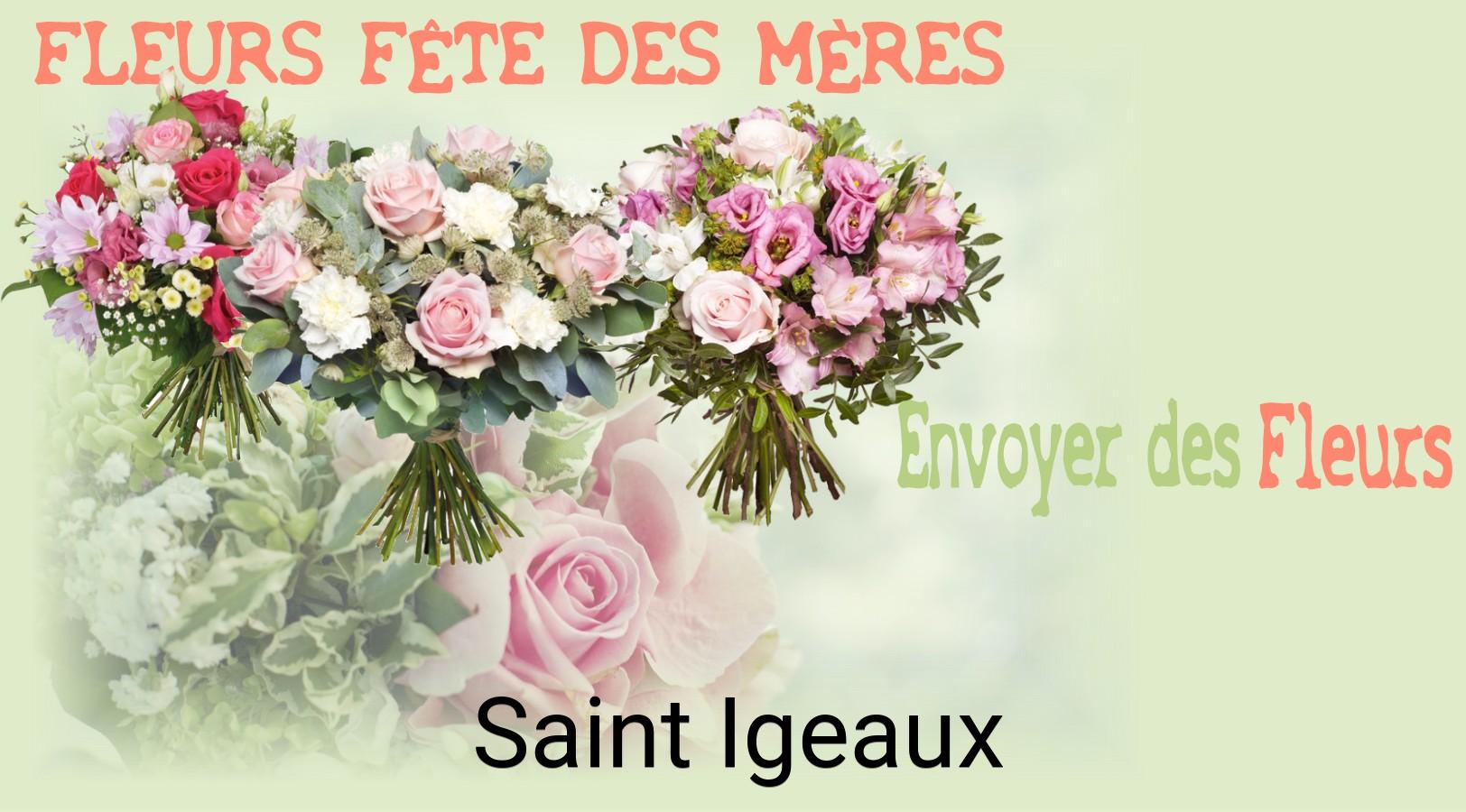 Bouquet de Fête des Mères livré à Saint-Igeaux